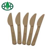 GreenWorks eco friendly eating utensils disposable degradable cutlery knife CPLA